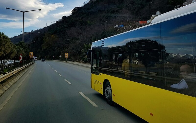 Czy seniorzy z Halemby będą mogli skorzystać ze specjalnej linii autobusowej?
