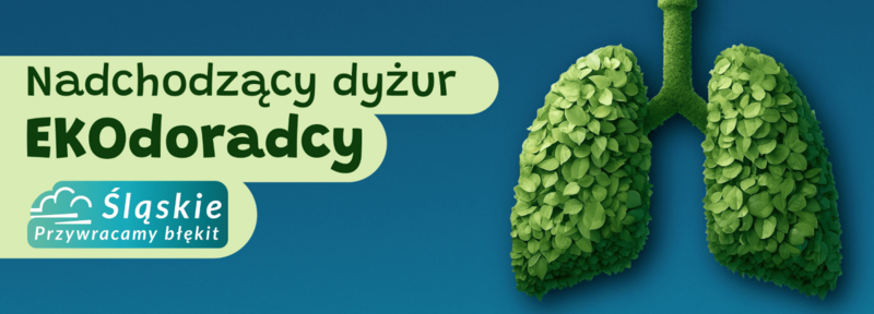 Dofinansowania i czyste powietrze – przyjdź na dyżur Ekodoradcy w Świętochłowicach