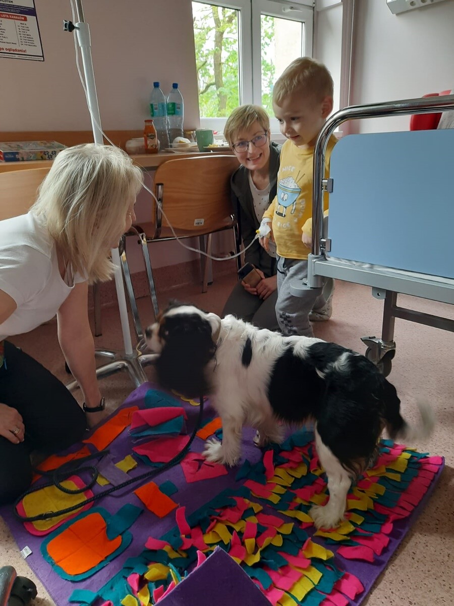 Rudzki szpital dzięki współpracy z Fundacją Dr Clown, wprowadził na Oddziale Pediatrycznym zajęcia z dogoterapii dla małych pacjentów! / fot. Szpital Miejski w Rudzie Śląskiej