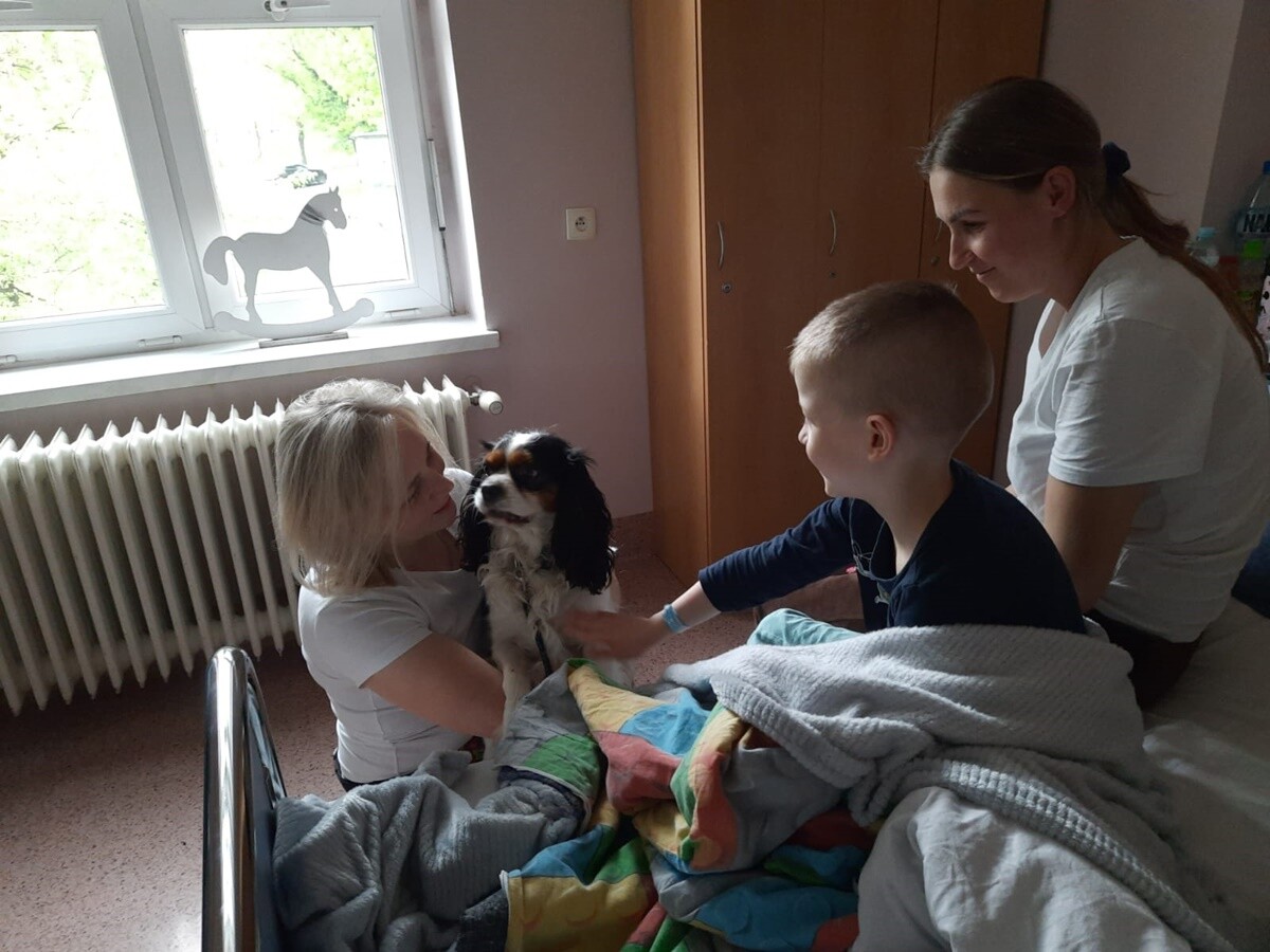 Rudzki szpital dzięki współpracy z Fundacją Dr Clown, wprowadził na Oddziale Pediatrycznym zajęcia z dogoterapii dla małych pacjentów! / fot. Szpital Miejski w Rudzie Śląskiej