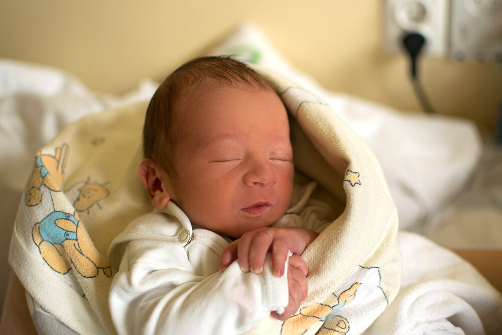 Dominik Kaznowski-Mucha