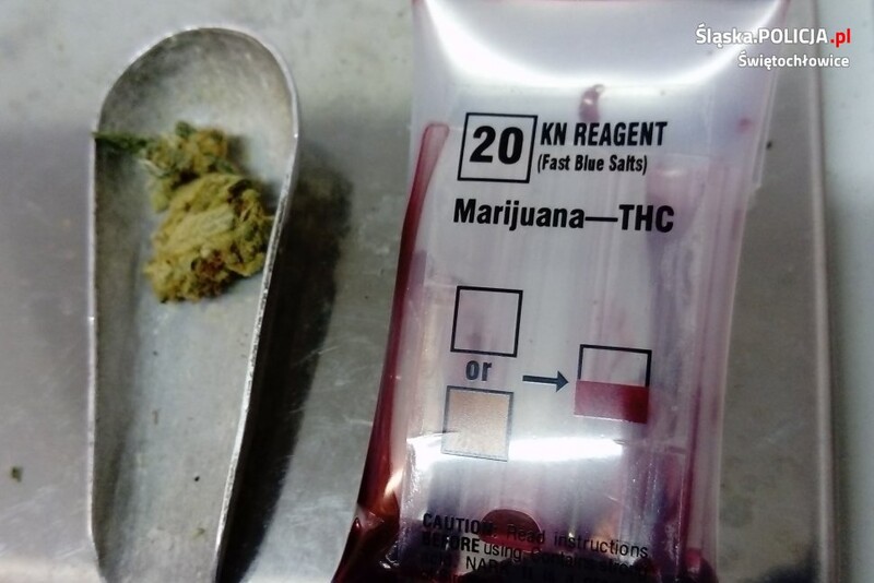 Dwóch mężczyzn zatrzymanych z marihuaną