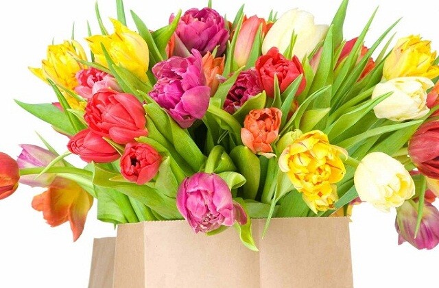 Dzień Kobiet w Rudzie Śląskiej rozpoczyna się już w czwartek!