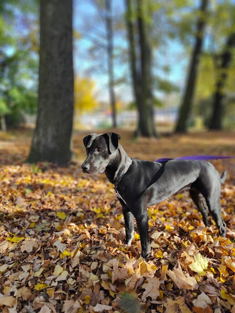 Dzień Kundelka 2024. / fot. Czytelnicy