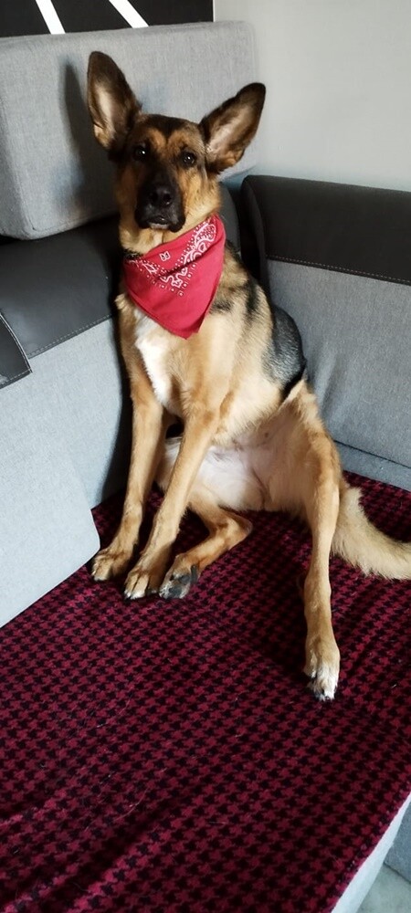 Dzień Kundelka 2024. / fot. Czytelnicy