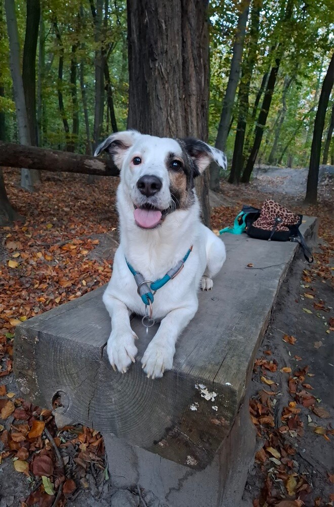 Dzień Kundelka 2024. / fot. Czytelnicy