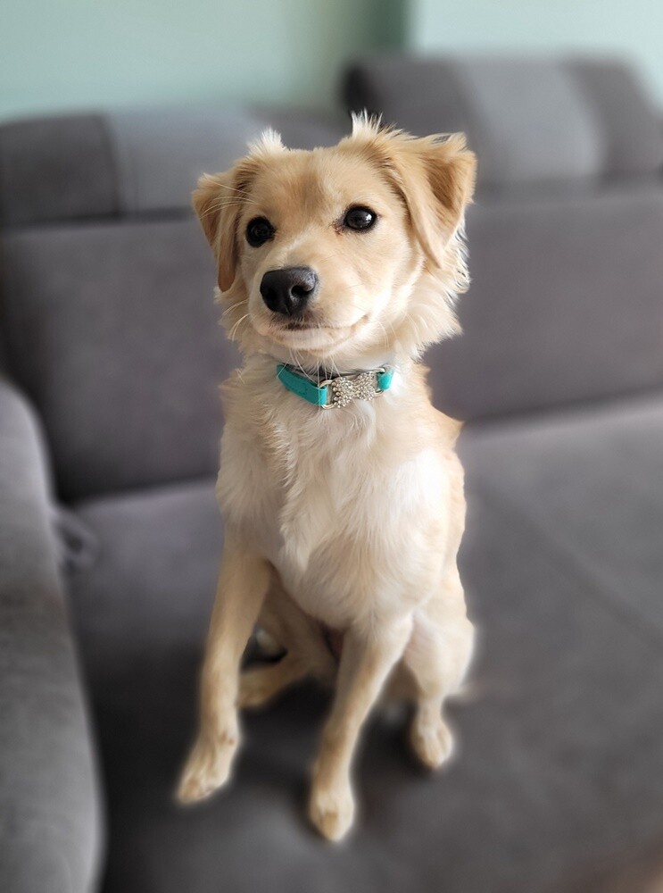 Dzień Kundelka 2024. / fot. Czytelnicy