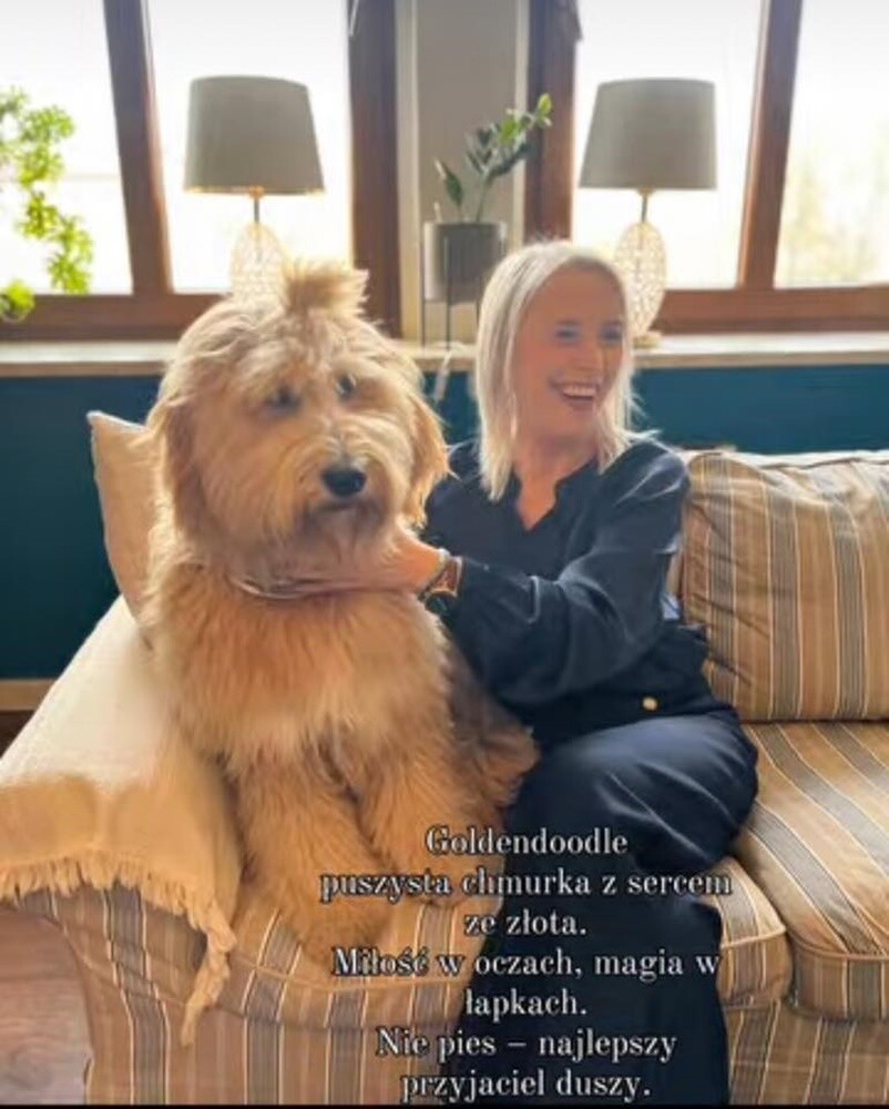 1 lipca świętowaliśmy Międzynarodowy Dzień Psa. Oto pupile naszych Czytelników [FOTO]