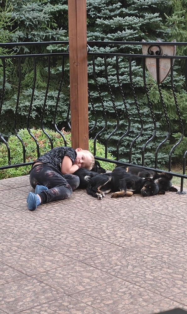 1 lipca świętowaliśmy Międzynarodowy Dzień Psa. Oto pupile naszych Czytelników [FOTO]