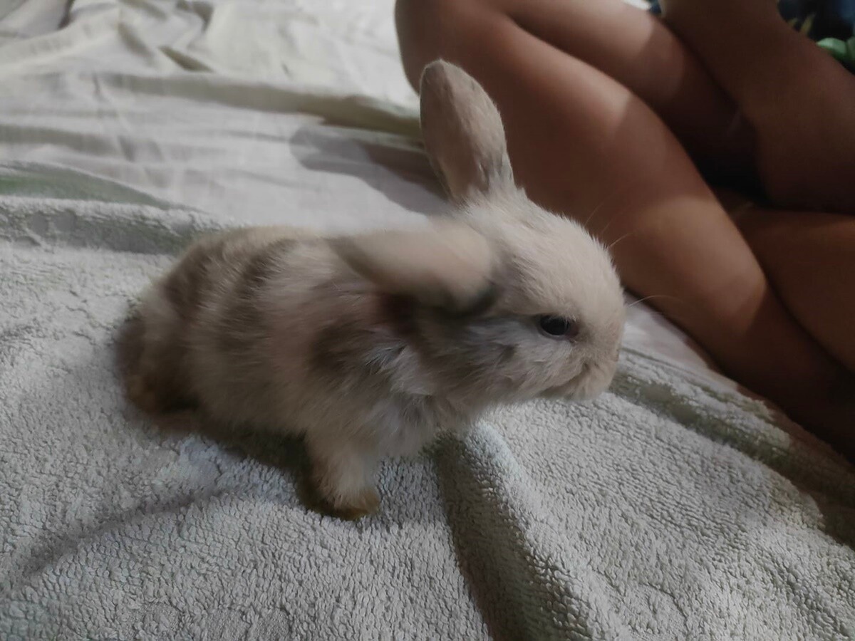 4 października obchodziliśmy Światowy Dzień Zwierząt. Oto pupile naszych Czytelników