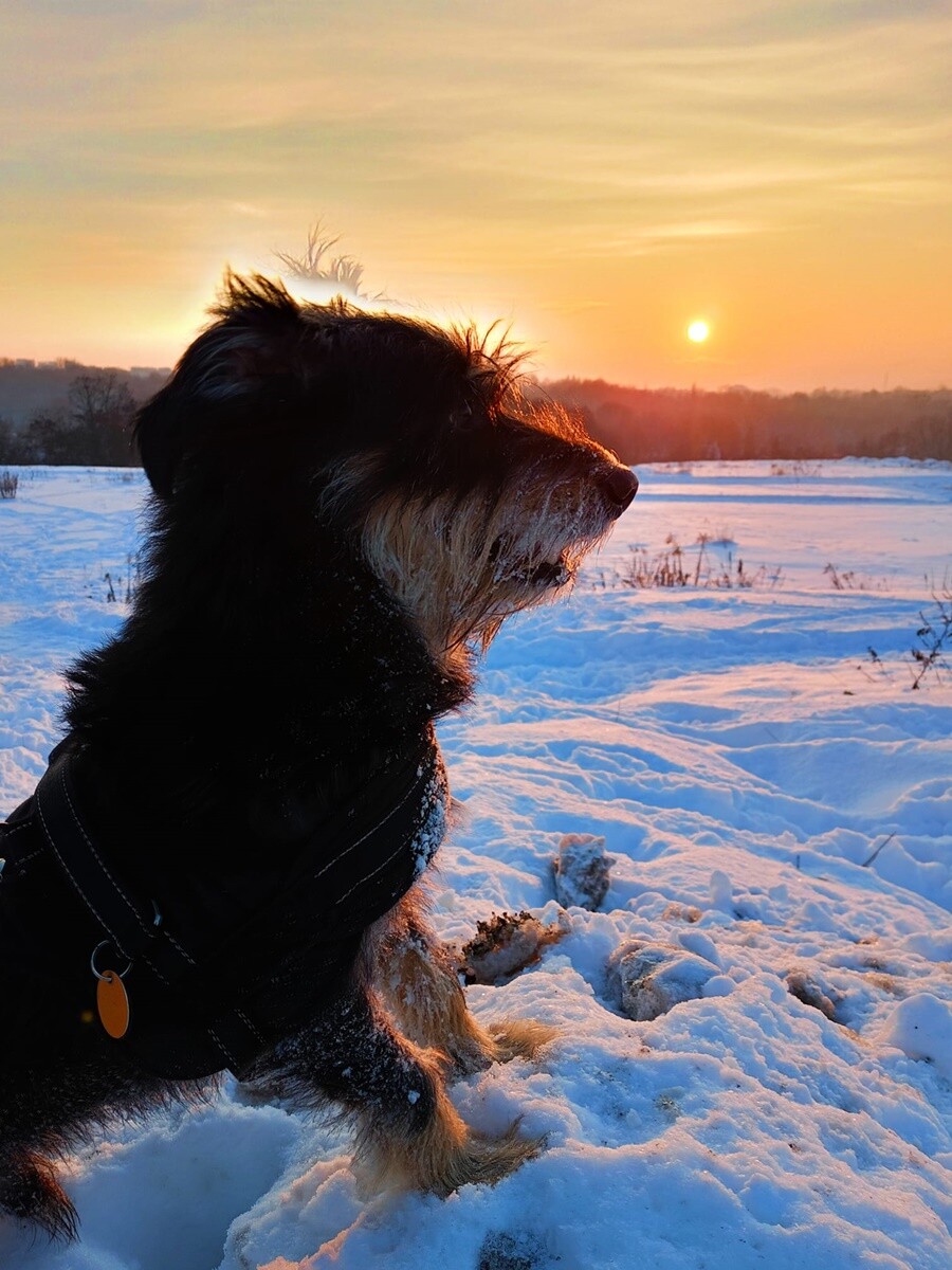 4 października obchodziliśmy Światowy Dzień Zwierząt. Oto pupile naszych Czytelników