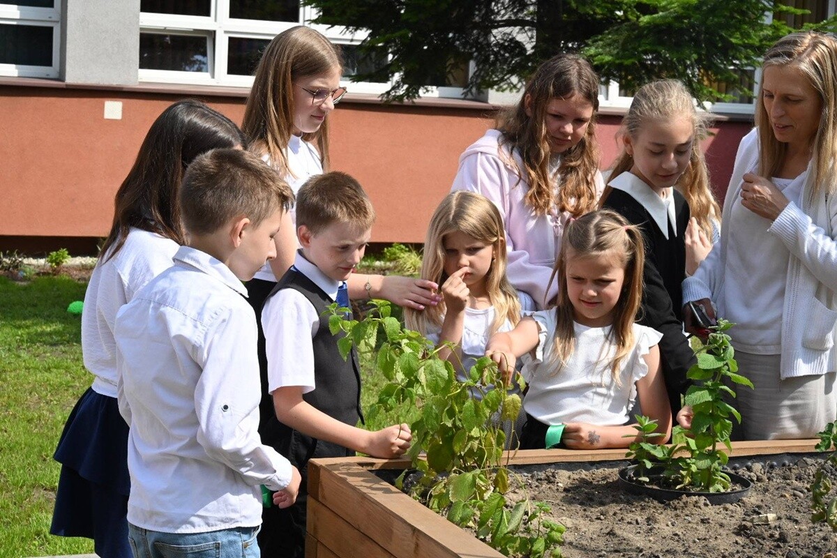 Ruda Śląska: Dwie ekopracownie oddane do użytku. / fot. UM Ruda Śląska