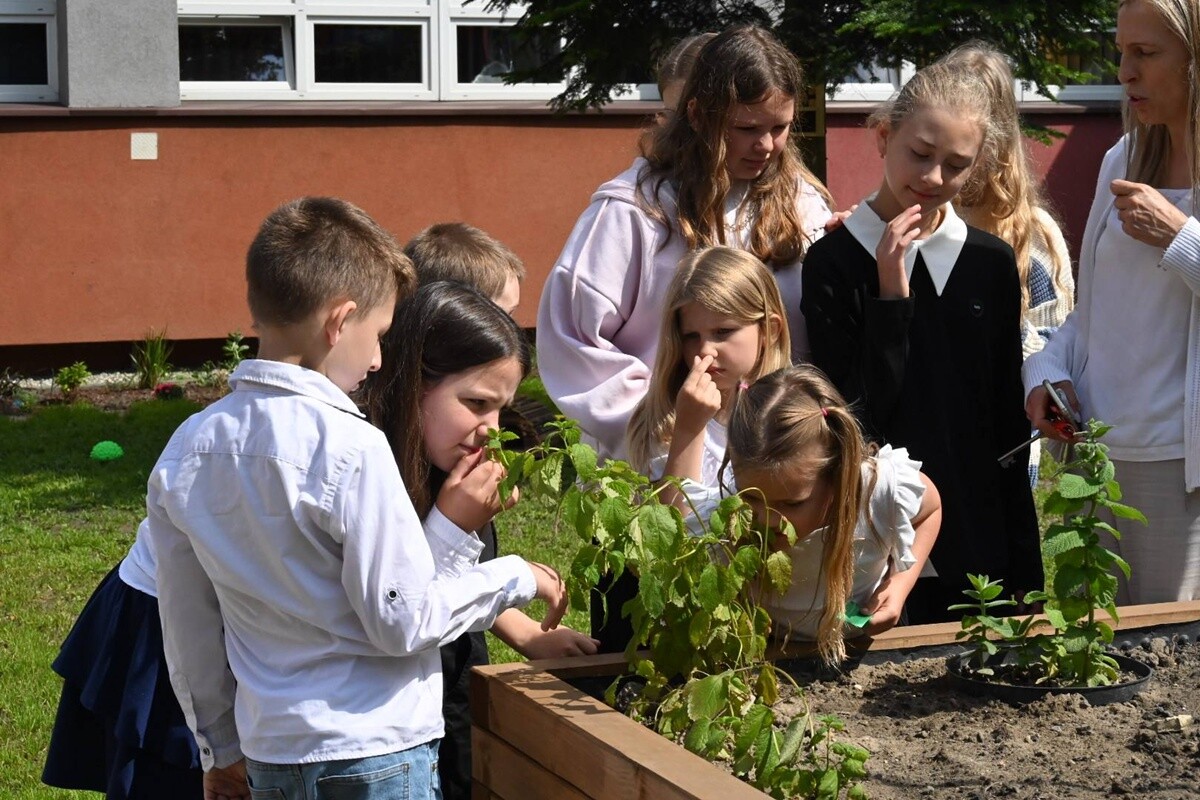Ruda Śląska: Dwie ekopracownie oddane do użytku. / fot. UM Ruda Śląska