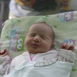 Elżbieta Róża Fornalczyk