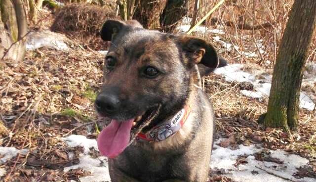 Emanuel - Adoptowany!