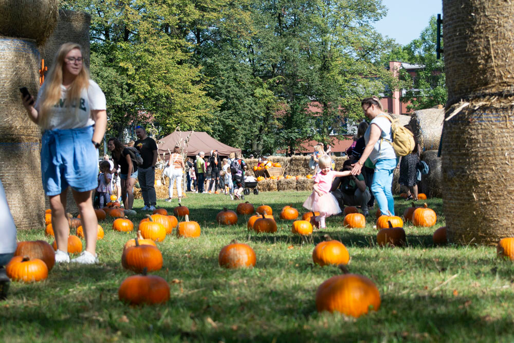 Farma Dyniowa w Rudzie Śląskiej w końcu otwarta! / fot. Marek Faber