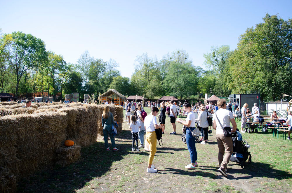 Farma Dyniowa w Rudzie Śląskiej w końcu otwarta! / fot. Marek Faber