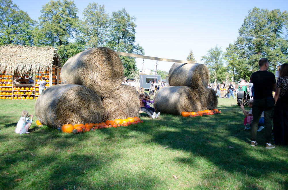 Farma Dyniowa w Rudzie Śląskiej w końcu otwarta! / fot. Marek Faber