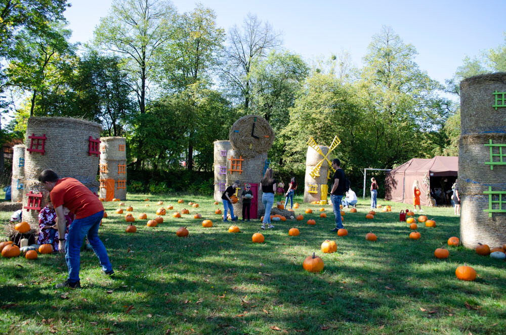 Farma Dyniowa w Rudzie Śląskiej w końcu otwarta! / fot. Marek Faber