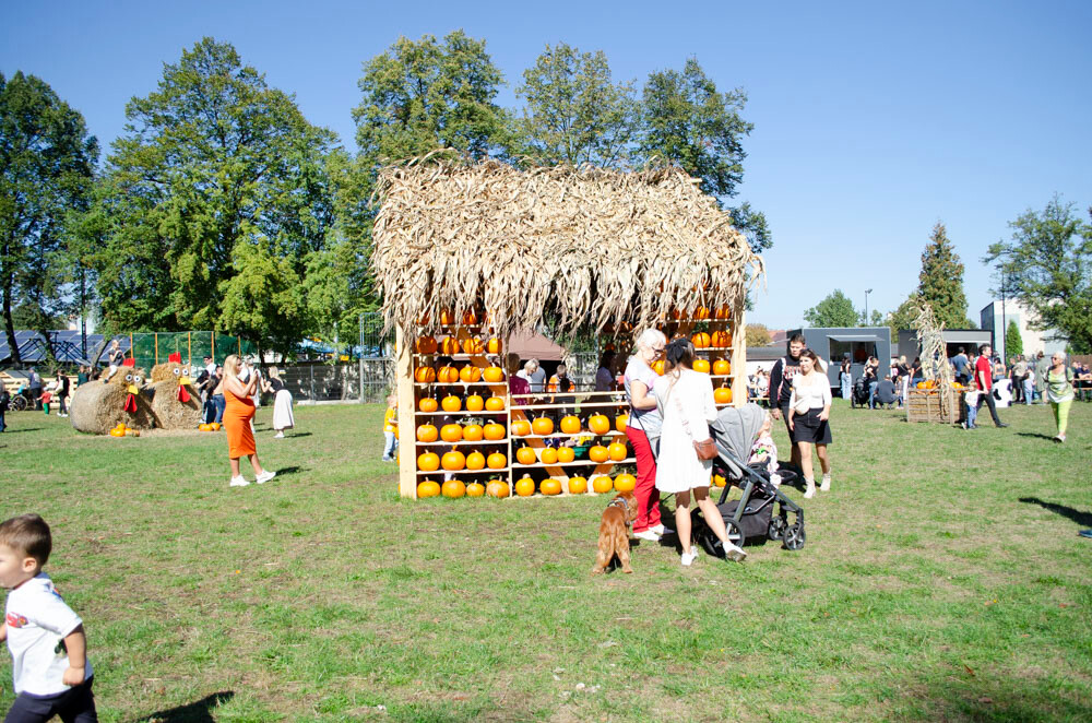Farma Dyniowa w Rudzie Śląskiej w końcu otwarta! / fot. Marek Faber