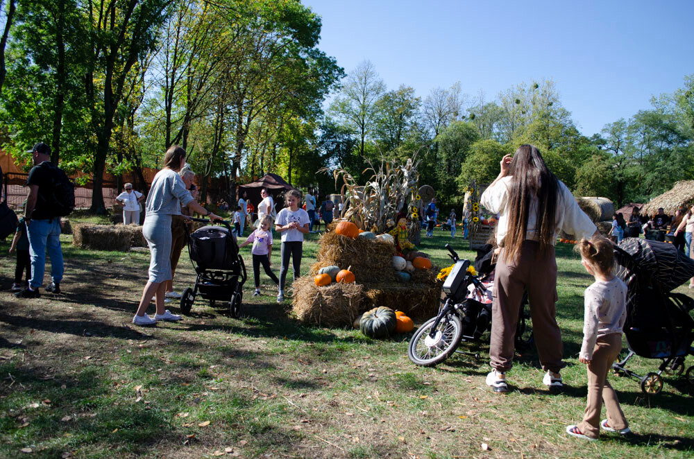 Farma Dyniowa w Rudzie Śląskiej w końcu otwarta! / fot. Marek Faber