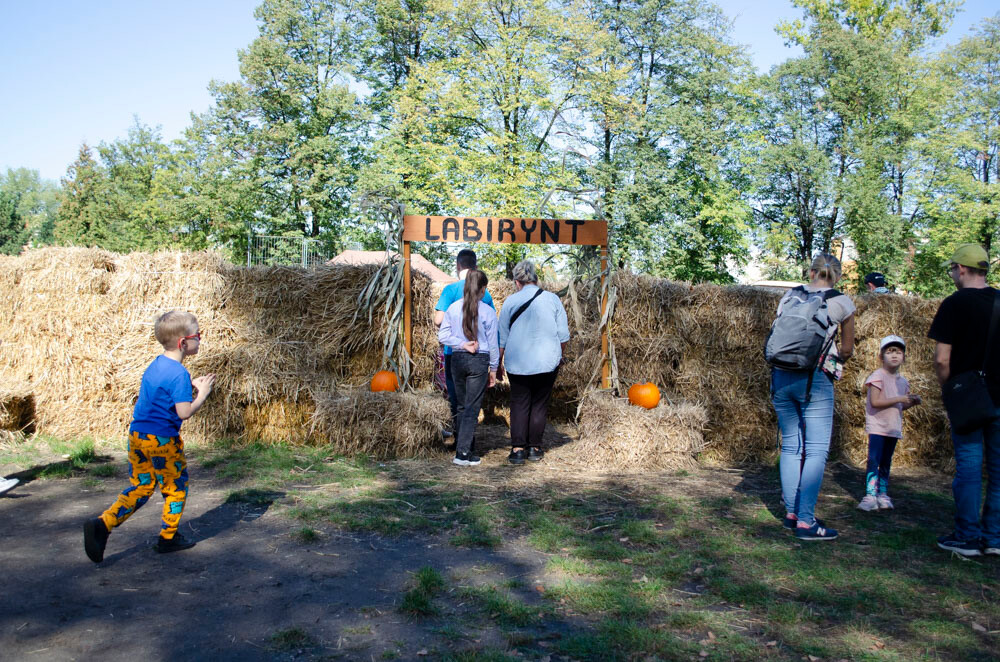 Farma Dyniowa w Rudzie Śląskiej w końcu otwarta! / fot. Marek Faber
