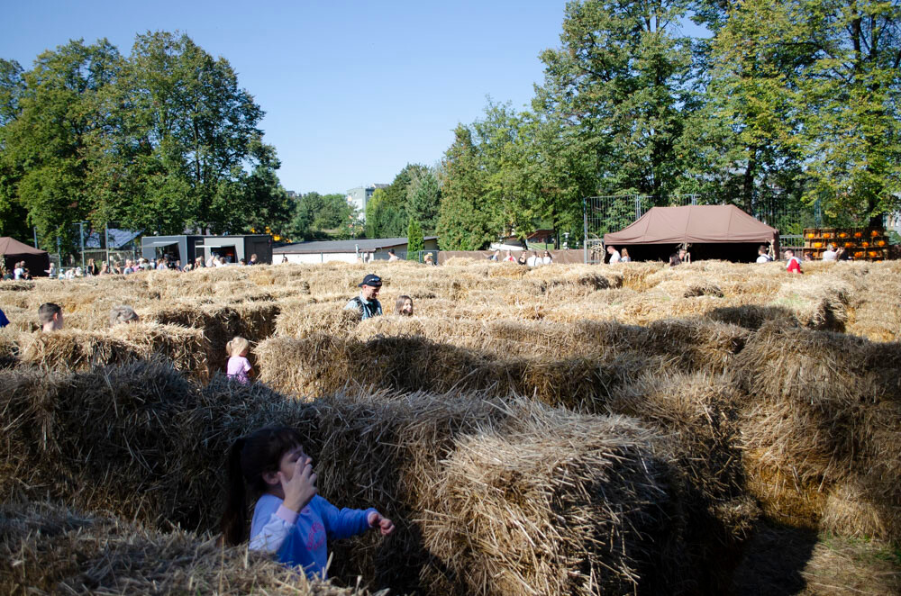 Farma Dyniowa w Rudzie Śląskiej w końcu otwarta! / fot. Marek Faber