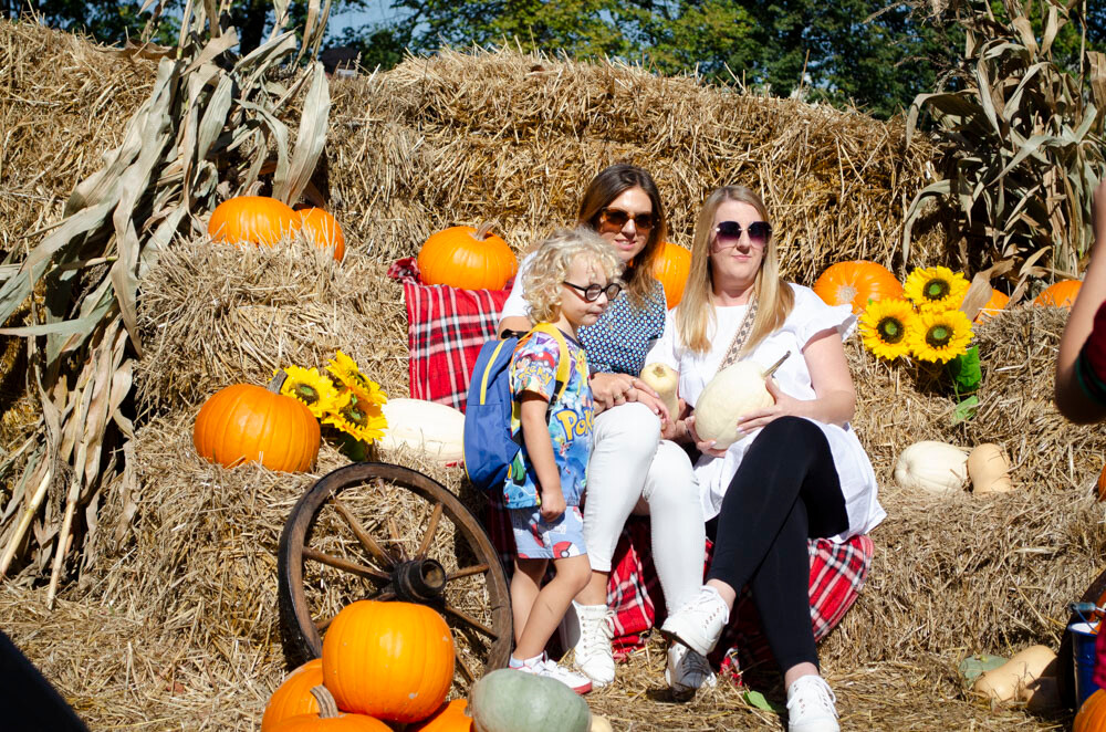 Farma Dyniowa w Rudzie Śląskiej w końcu otwarta! / fot. Marek Faber