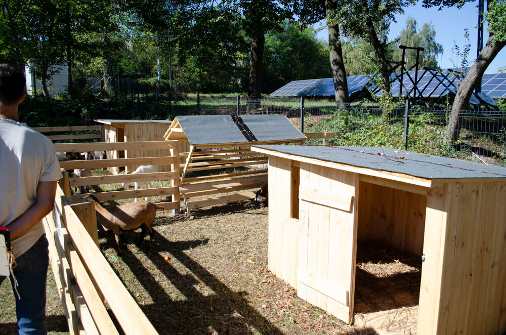 Farma Dyniowa w Rudzie Śląskiej w końcu otwarta! / fot. Marek Faber