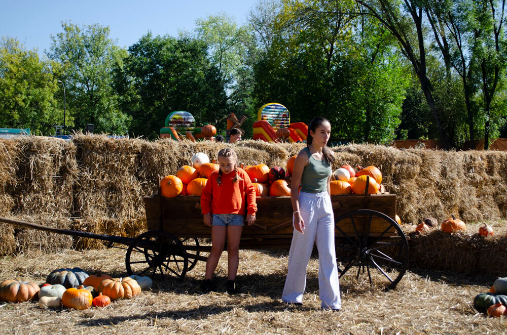 Farma Dyniowa w Rudzie Śląskiej w końcu otwarta! / fot. Marek Faber
