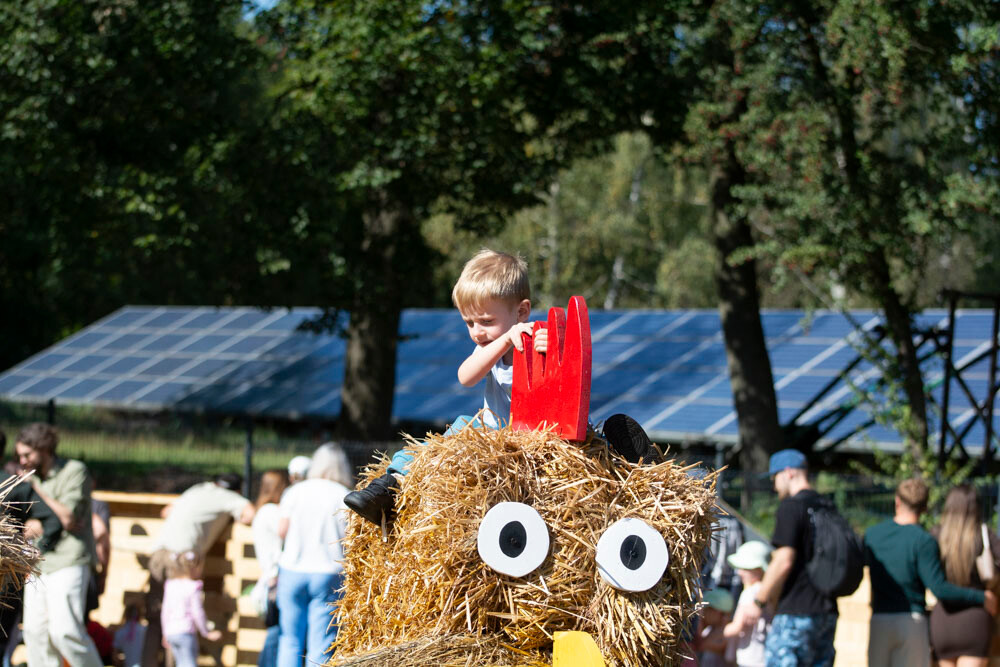 Farma Dyniowa w Rudzie Śląskiej w końcu otwarta! / fot. Marek Faber