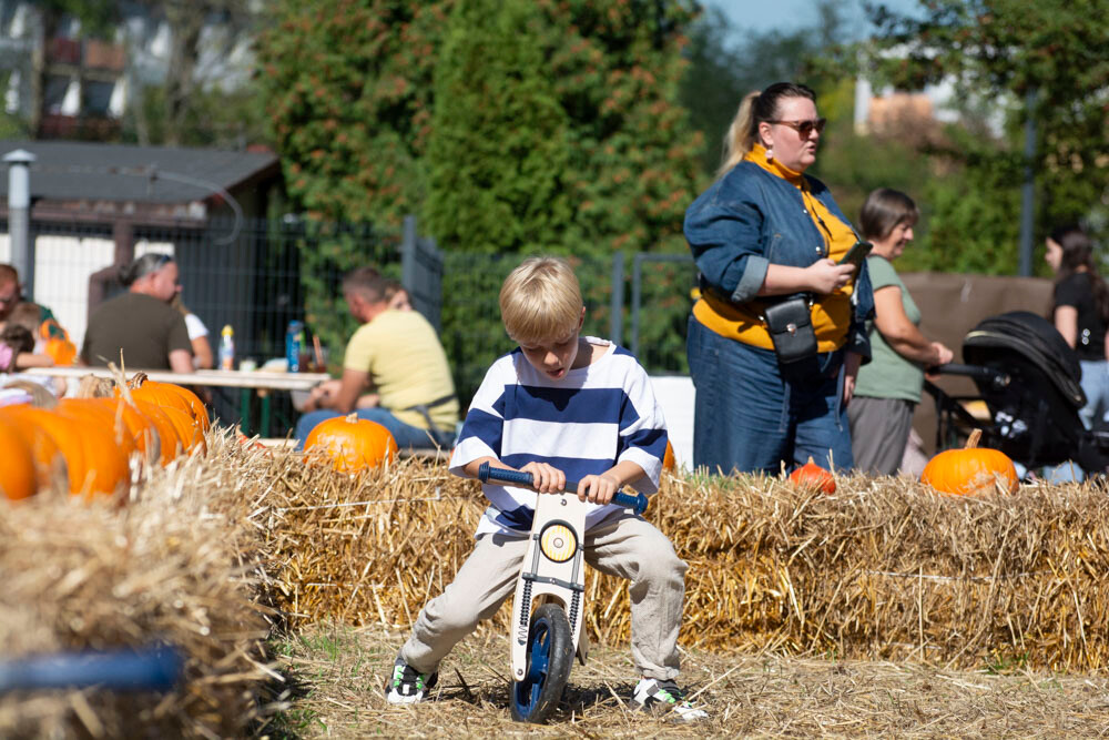 Farma Dyniowa w Rudzie Śląskiej w końcu otwarta! / fot. Marek Faber