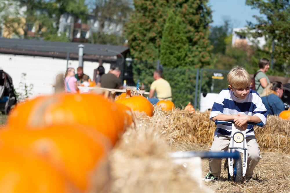 Farma Dyniowa w Rudzie Śląskiej w końcu otwarta! / fot. Marek Faber