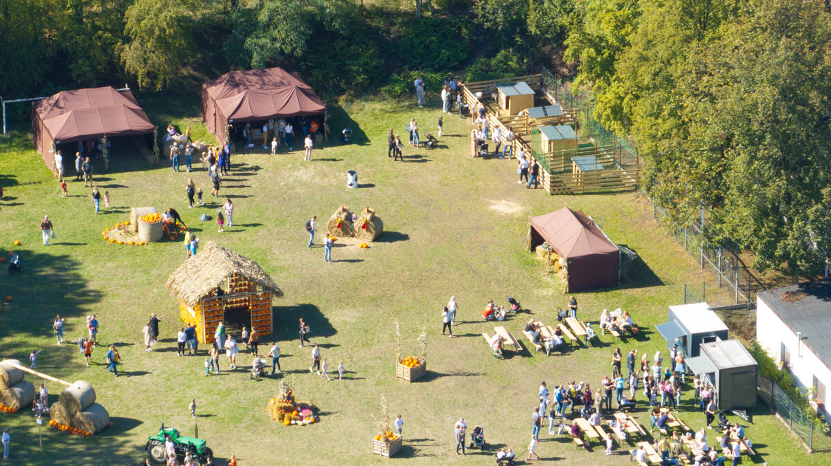 Farma Dyniowa w Rudzie Śląskiej w końcu otwarta! / fot. Dron Ruda - Krzysztof Faber