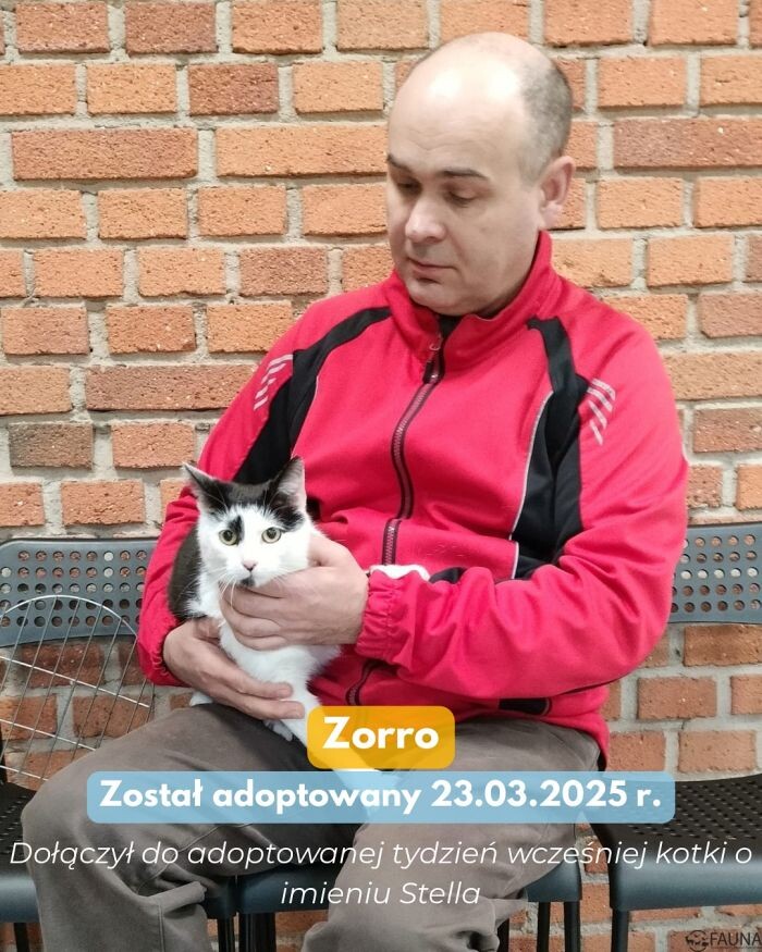 Kolejne adopcje w TOZ Fauna!/fot. TOZ Fauna