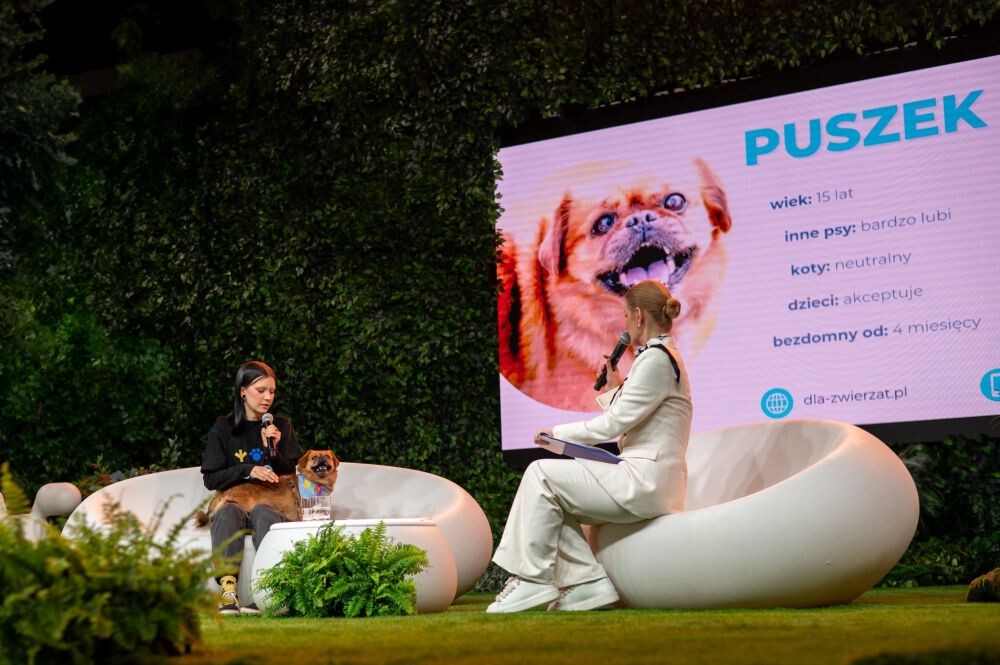 Podopieczni Fauny gwiazdami Zwierzogrania!/fot. Pluszografia