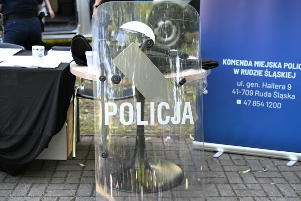 Radość, gry i zabawy – za nami Festyn Rodzin i Rodzin Zastępczych!/fot. Marek Faber