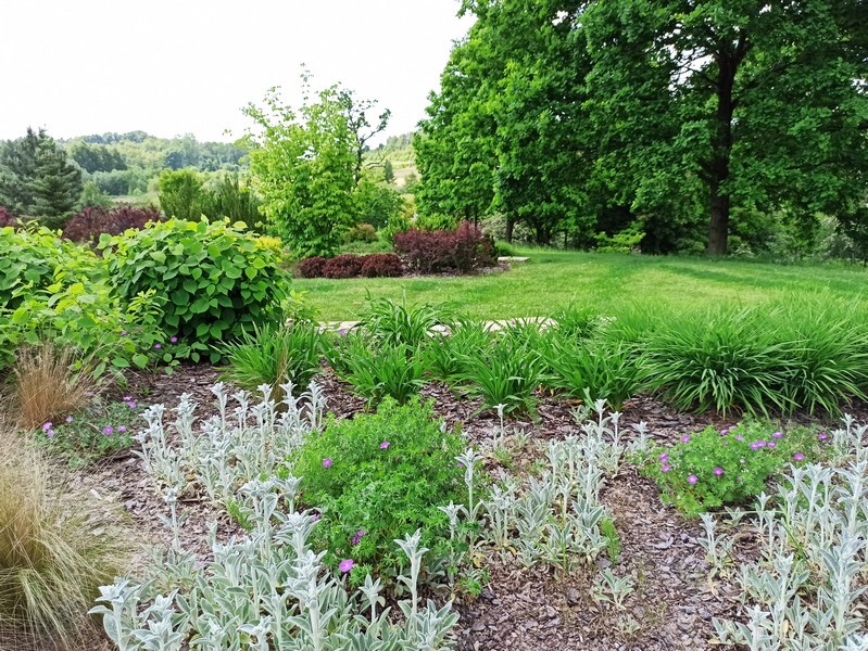 Arkadia w centrum województwa śląskiego? Tak, Śląski Ogród Botaniczny w Mikołowie zasługuje na miano sielskiej krainy. Tu życie biegnie powoli, a spacerując malowniczymi alejkami, podziwiamy cuda przyrody, wsłuchując się w kojące ptasie trele. Macie wolne popołudnie? Koniecznie wybierzcie się do Mikołowa. Wycieczka gwarantuje wytchnienie od wielkomiejskiego życia i relaks na łonie natury. 