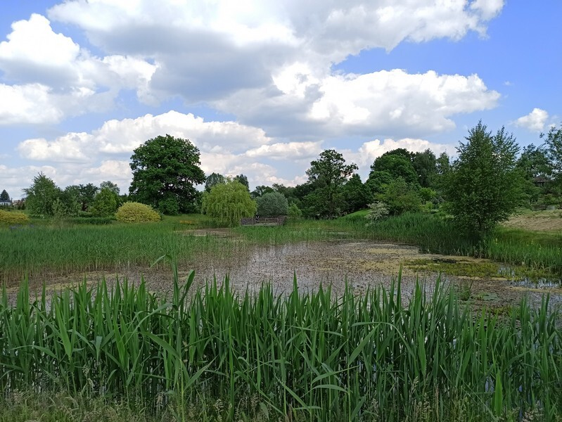 Arkadia w centrum województwa śląskiego? Tak, Śląski Ogród Botaniczny w Mikołowie zasługuje na miano sielskiej krainy. Tu życie biegnie powoli, a spacerując malowniczymi alejkami, podziwiamy cuda przyrody, wsłuchując się w kojące ptasie trele. Macie wolne popołudnie? Koniecznie wybierzcie się do Mikołowa. Wycieczka gwarantuje wytchnienie od wielkomiejskiego życia i relaks na łonie natury. 