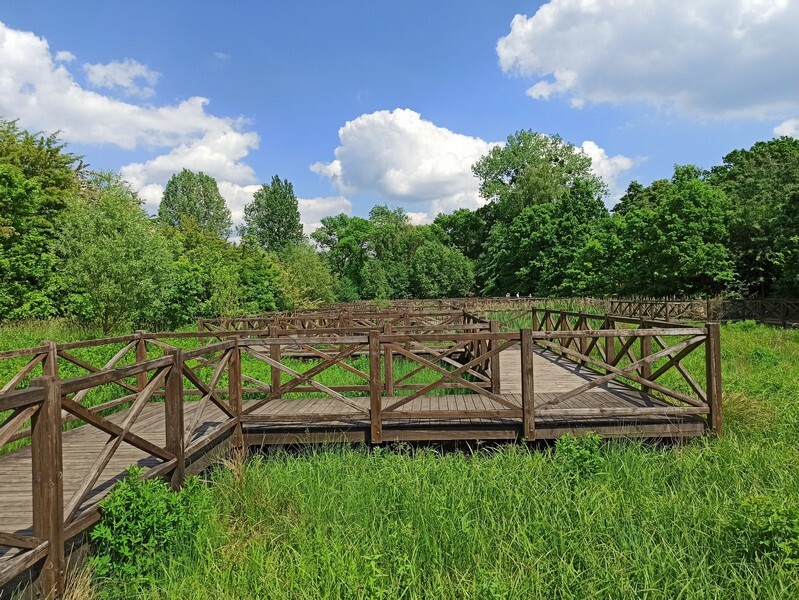 Arkadia w centrum województwa śląskiego? Tak, Śląski Ogród Botaniczny w Mikołowie zasługuje na miano sielskiej krainy. Tu życie biegnie powoli, a spacerując malowniczymi alejkami, podziwiamy cuda przyrody, wsłuchując się w kojące ptasie trele. Macie wolne popołudnie? Koniecznie wybierzcie się do Mikołowa. Wycieczka gwarantuje wytchnienie od wielkomiejskiego życia i relaks na łonie natury. 