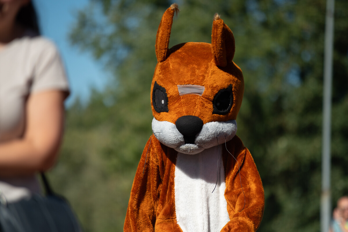 Za nami wrześniowy Bieg Wiewiórki! / fot. Marek Faber