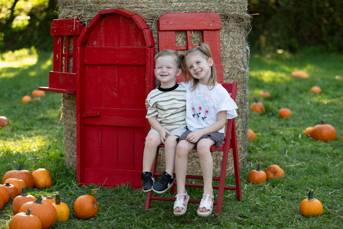 W mieście pojawiła się kolorowa dyniowa farma! / fot. Marek Faber
