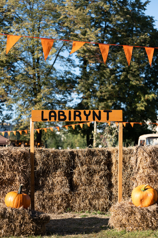 W mieście pojawiła się kolorowa farma dyniowa! / fot. Marek Faber
