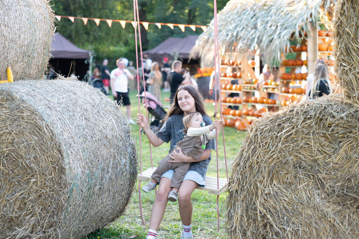 W mieście pojawiła się kolorowa farma dyniowa! / fot. Marek Faber