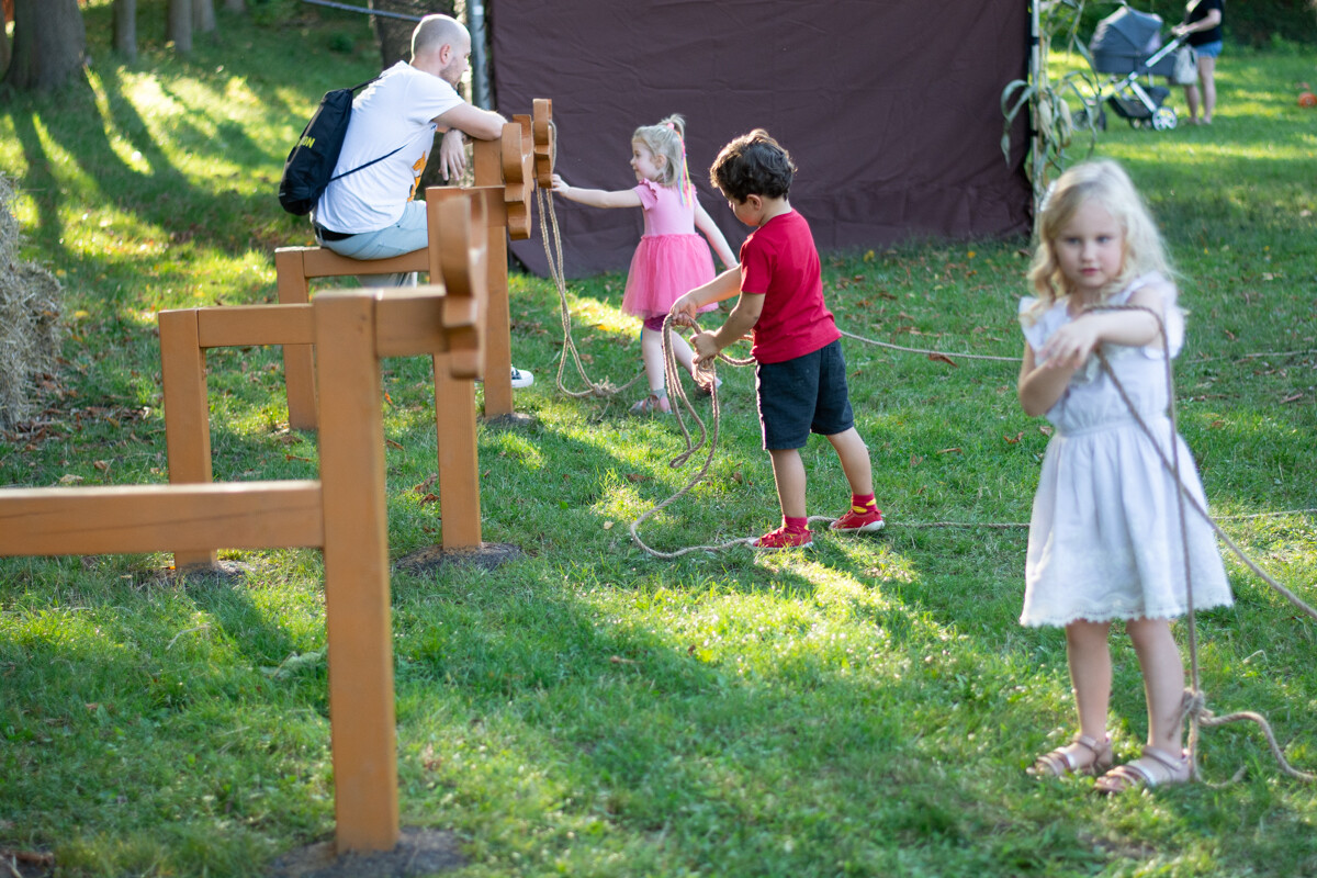 W mieście pojawiła się kolorowa farma dyniowa! / fot. Marek Faber