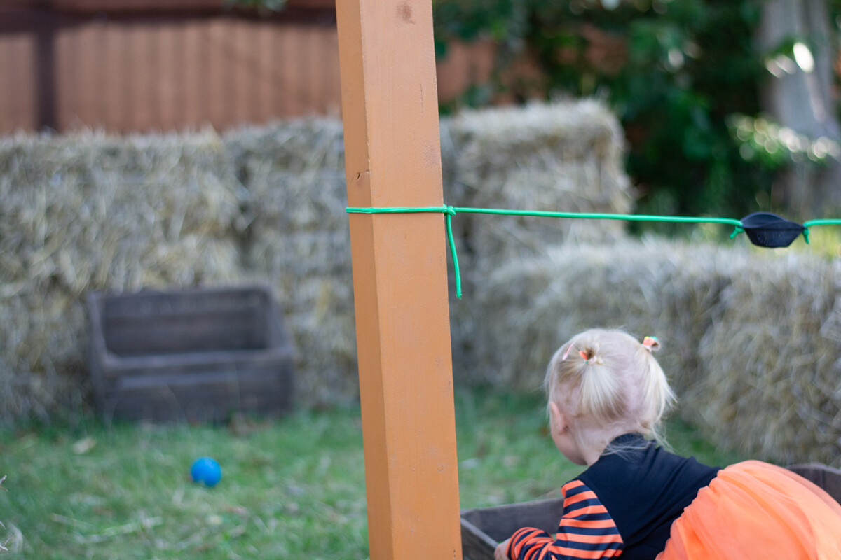 W mieście pojawiła się kolorowa farma dyniowa! / fot. Marek Faber