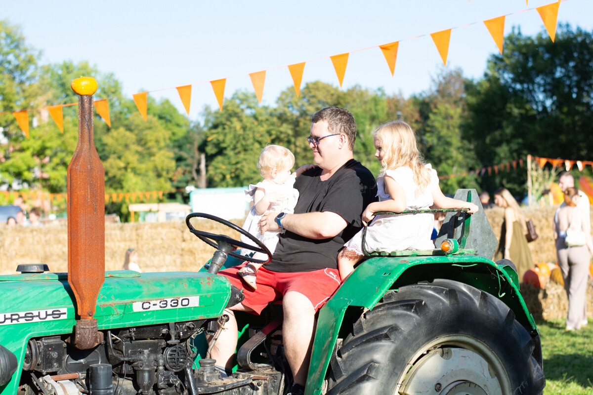 W mieście pojawiła się kolorowa farma dyniowa! / fot. Marek Faber