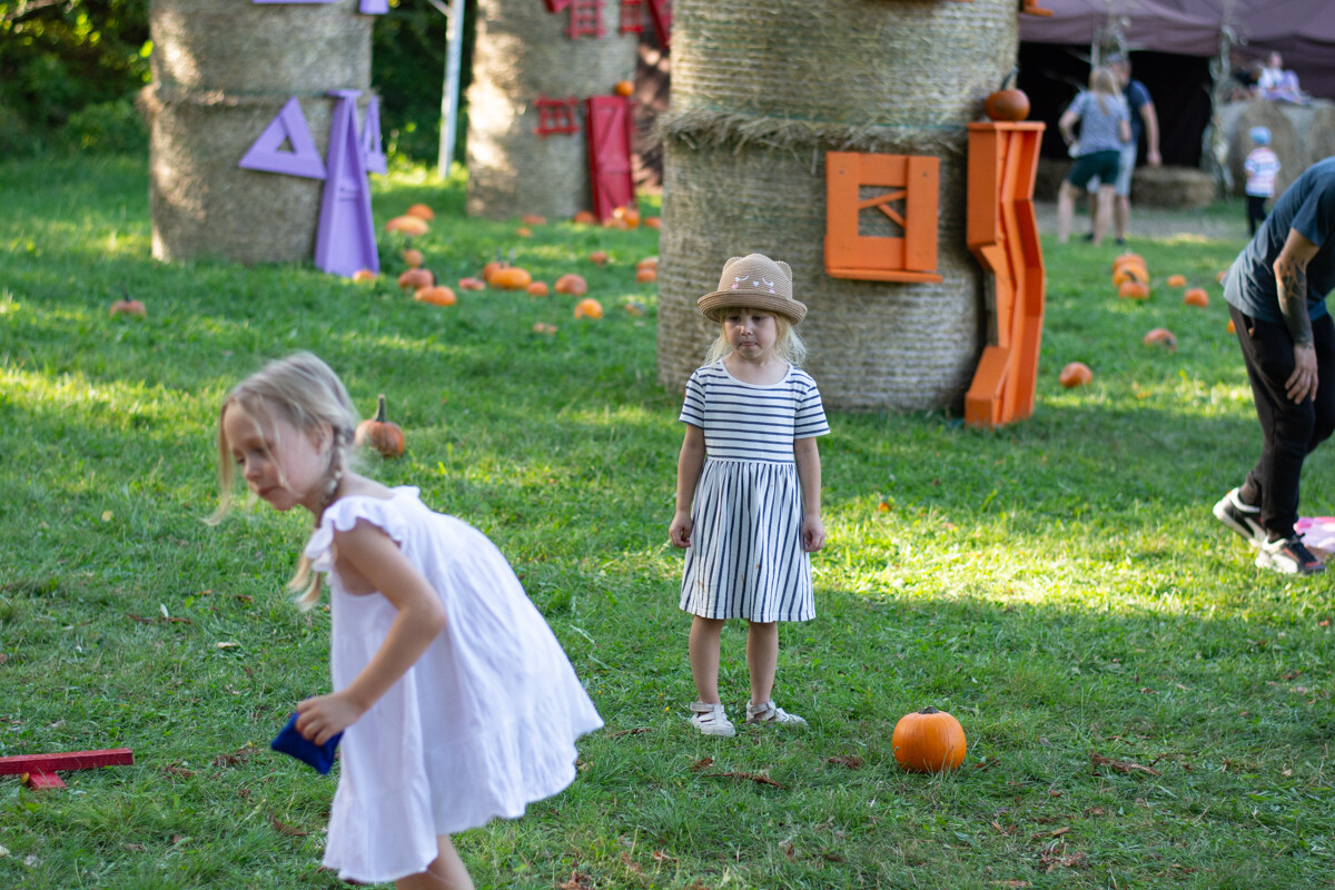 W mieście pojawiła się kolorowa farma dyniowa! / fot. Marek Faber