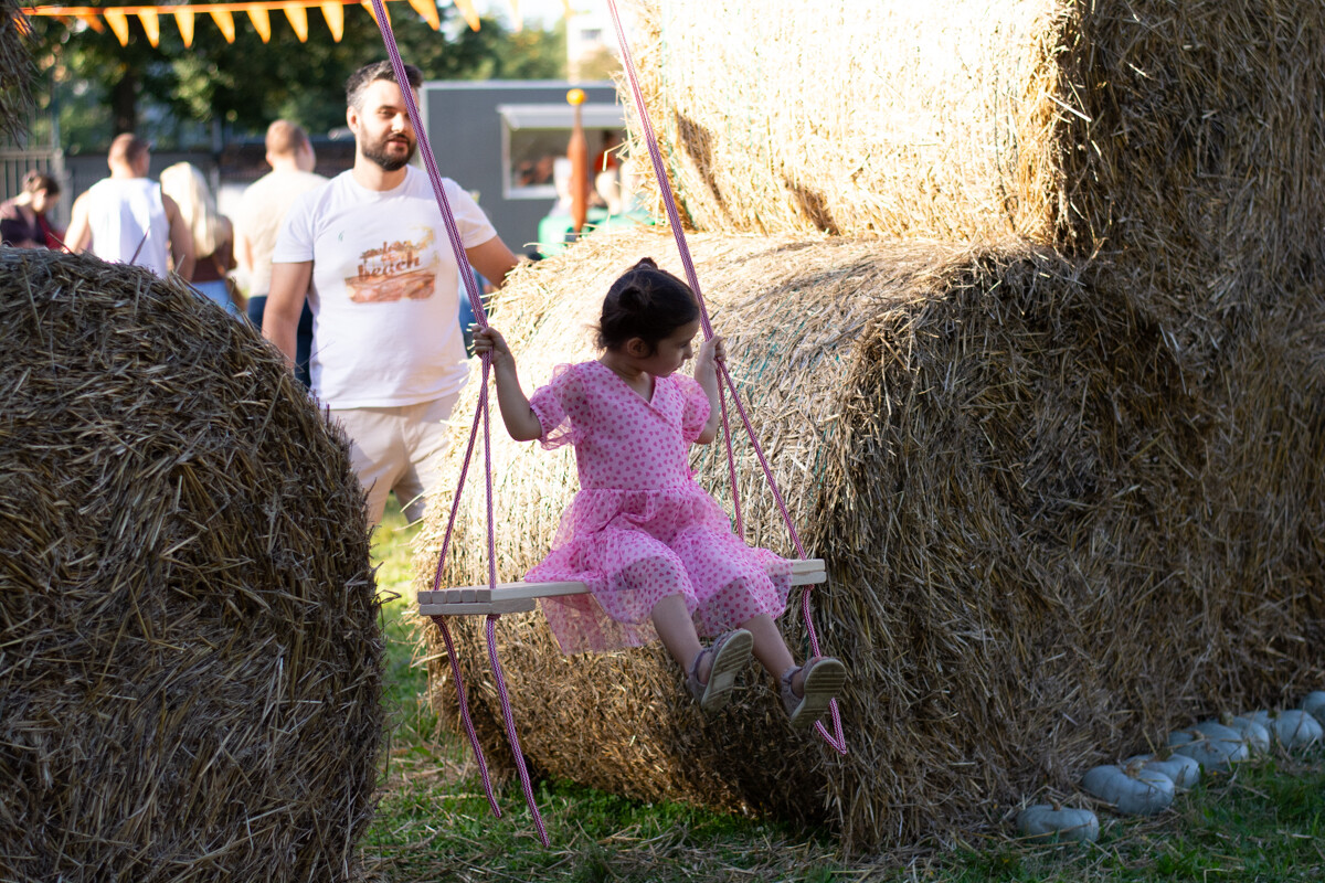 W mieście pojawiła się kolorowa farma dyniowa! / fot. Marek Faber