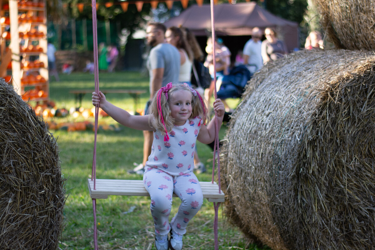 W mieście pojawiła się kolorowa farma dyniowa! / fot. Marek Faber